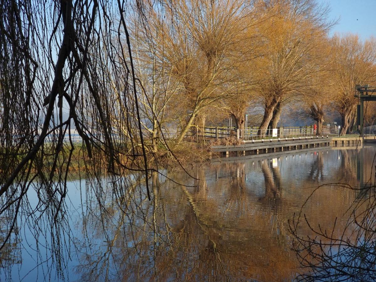 West Farm Cottage Godmanchester Εξωτερικό φωτογραφία