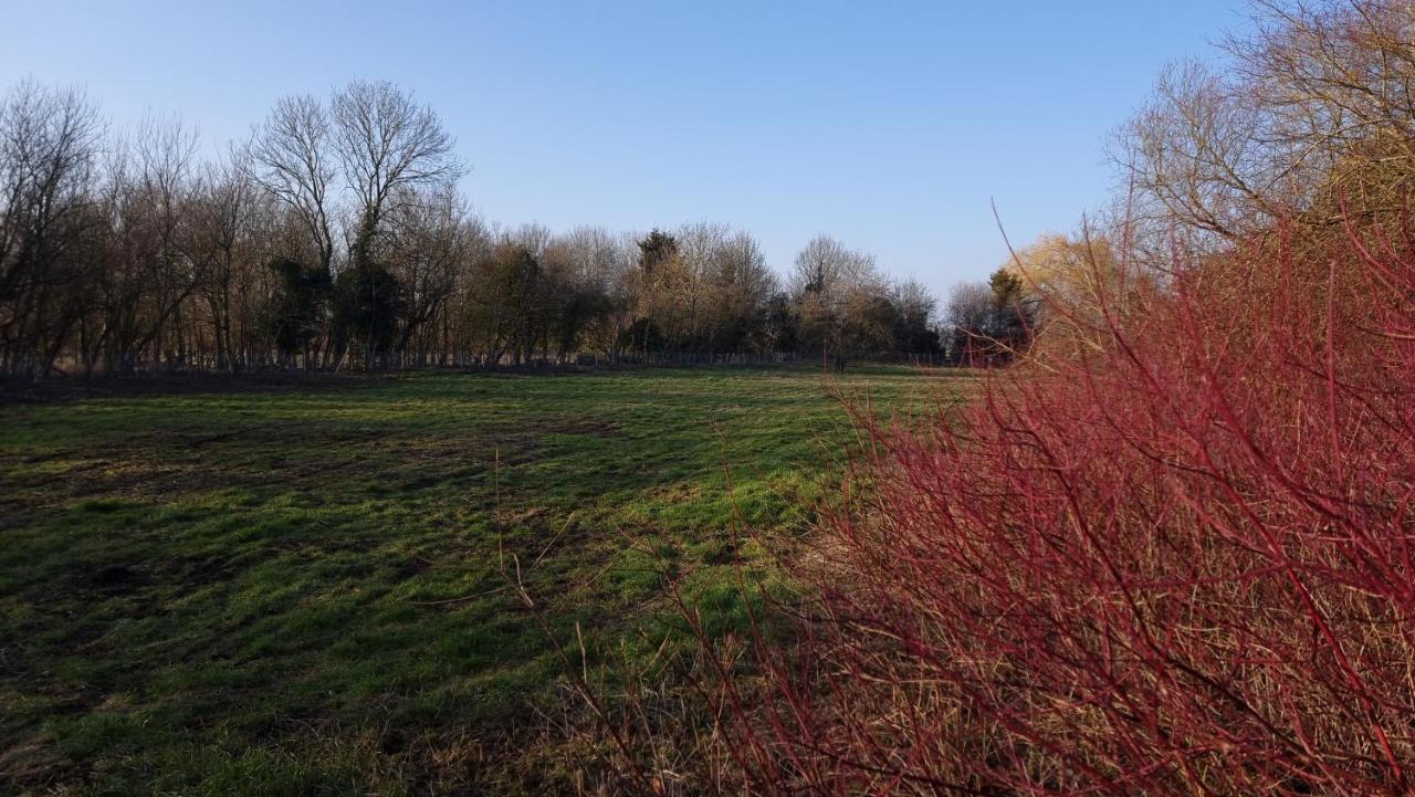 West Farm Cottage Godmanchester Εξωτερικό φωτογραφία