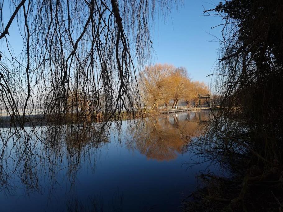 West Farm Cottage Godmanchester Εξωτερικό φωτογραφία